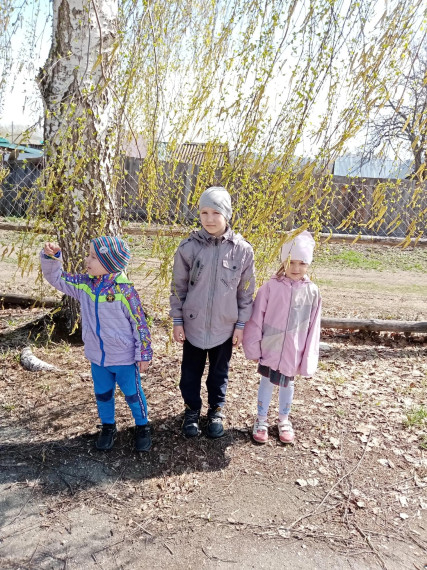 Дошкольники наблюдали пробуждение весны..